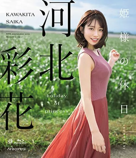 xl上司动漫